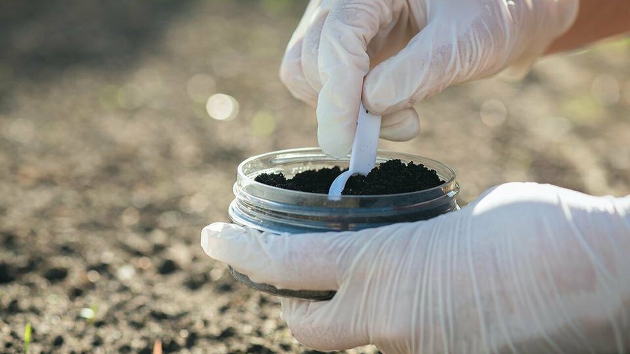 Исследователи из Калифорнийского университета в...