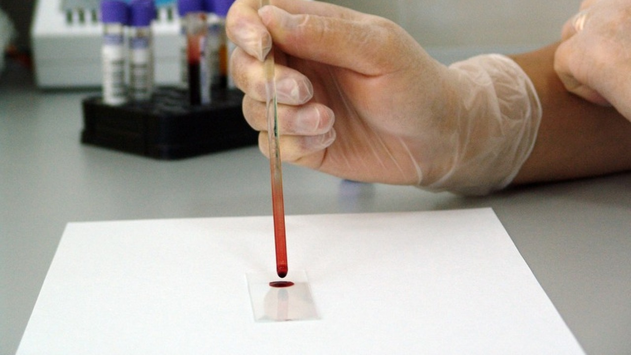 В Новоульяновске состоится очередная акция по с...