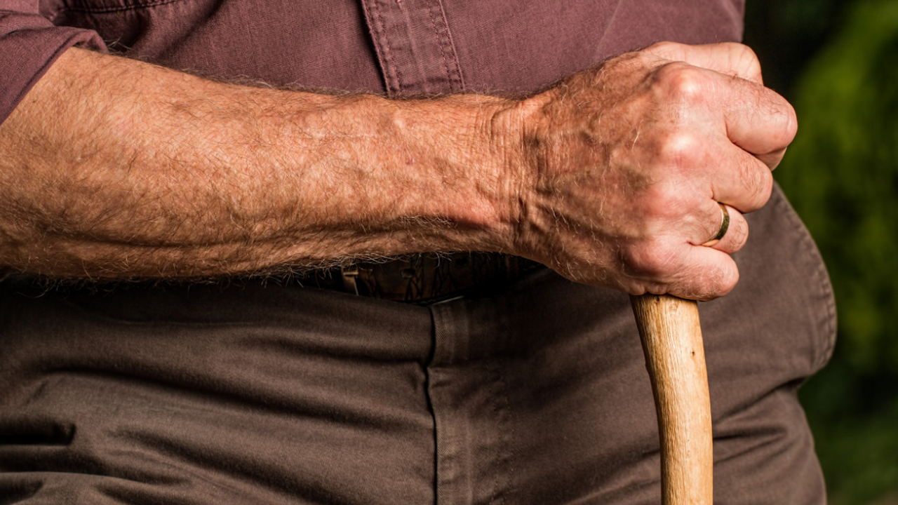 NA: развитие рака замедляют возрастные изменения организма Новое исследование специалистов Стэнфордского у...