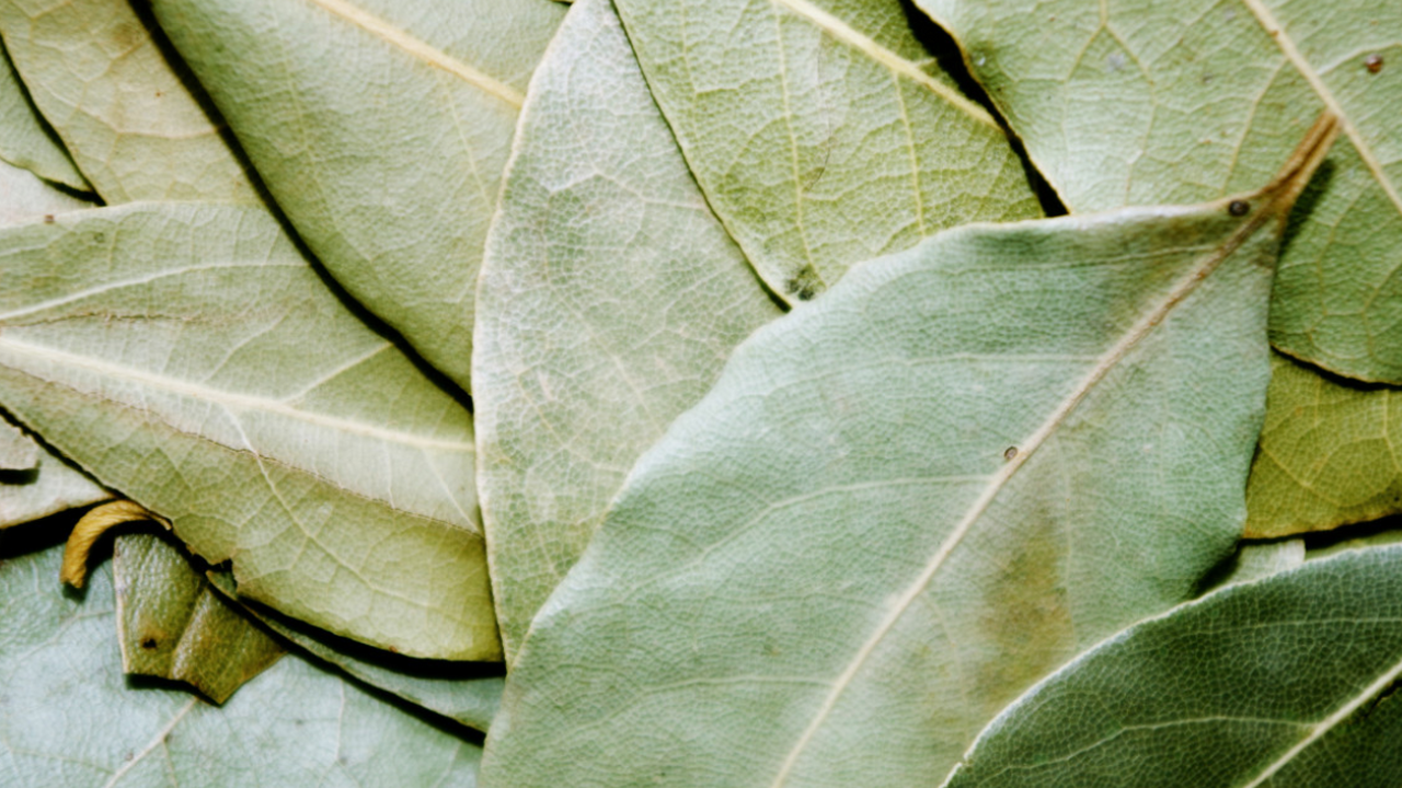 Почему хозяйки кладут лавровый лист в холодильник: старинный трюк, который реально работает Многие хозяйки замечают, что даже идеально вымы...