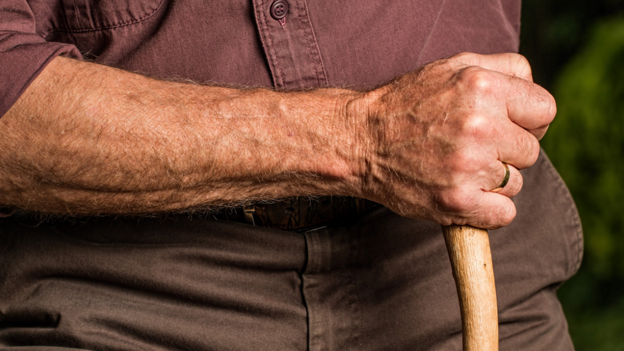 Наука всё ближе подходит к разгадке секрета дол...