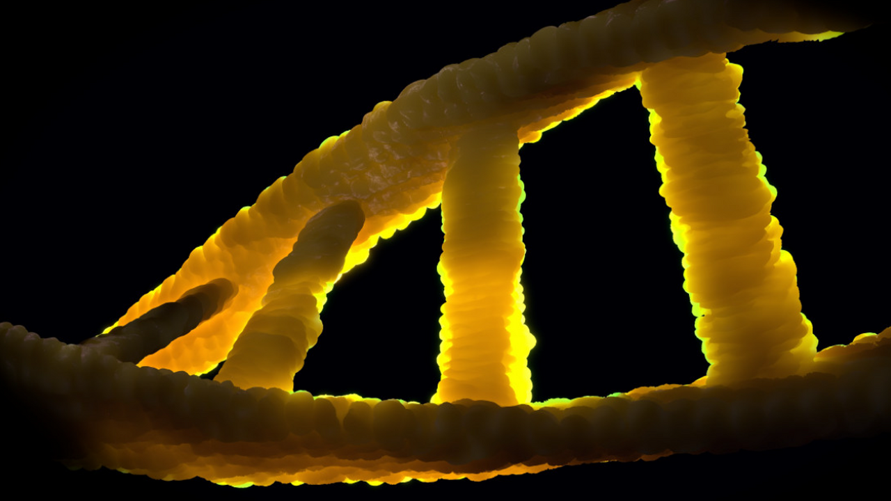 Исследователи Университетского колледжа Лондона...