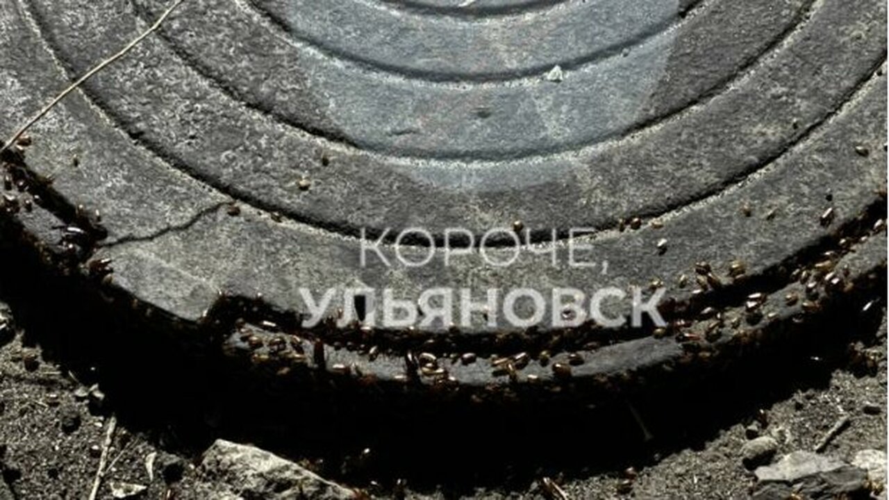В Ульяновске жители дома №22а по проспекту 50-л...