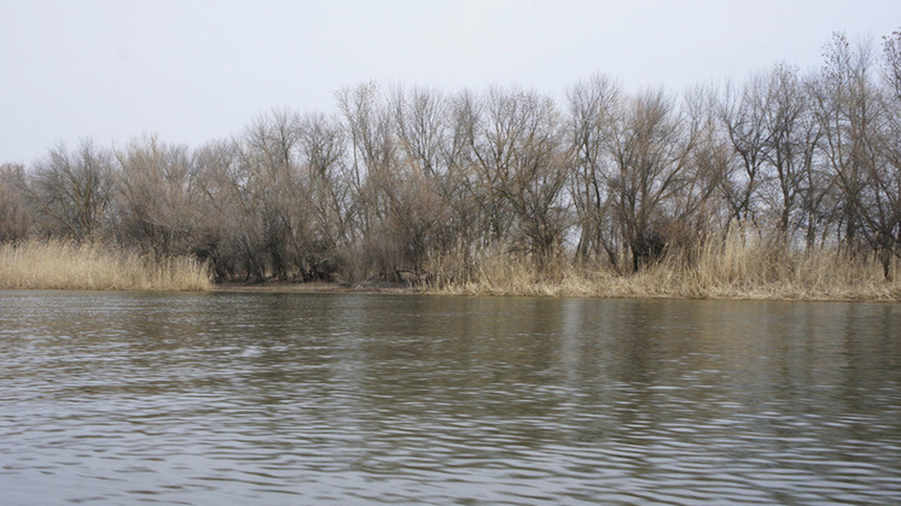 В Ульяновской области ограничили движение из-за паводка В Ульяновской области фиксируют первые последст...