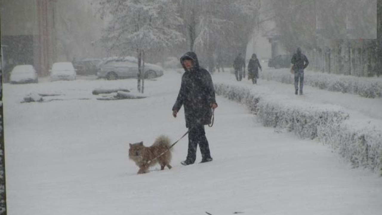 Сильный снегопад и до 6 градусов мороза: Озвуче...