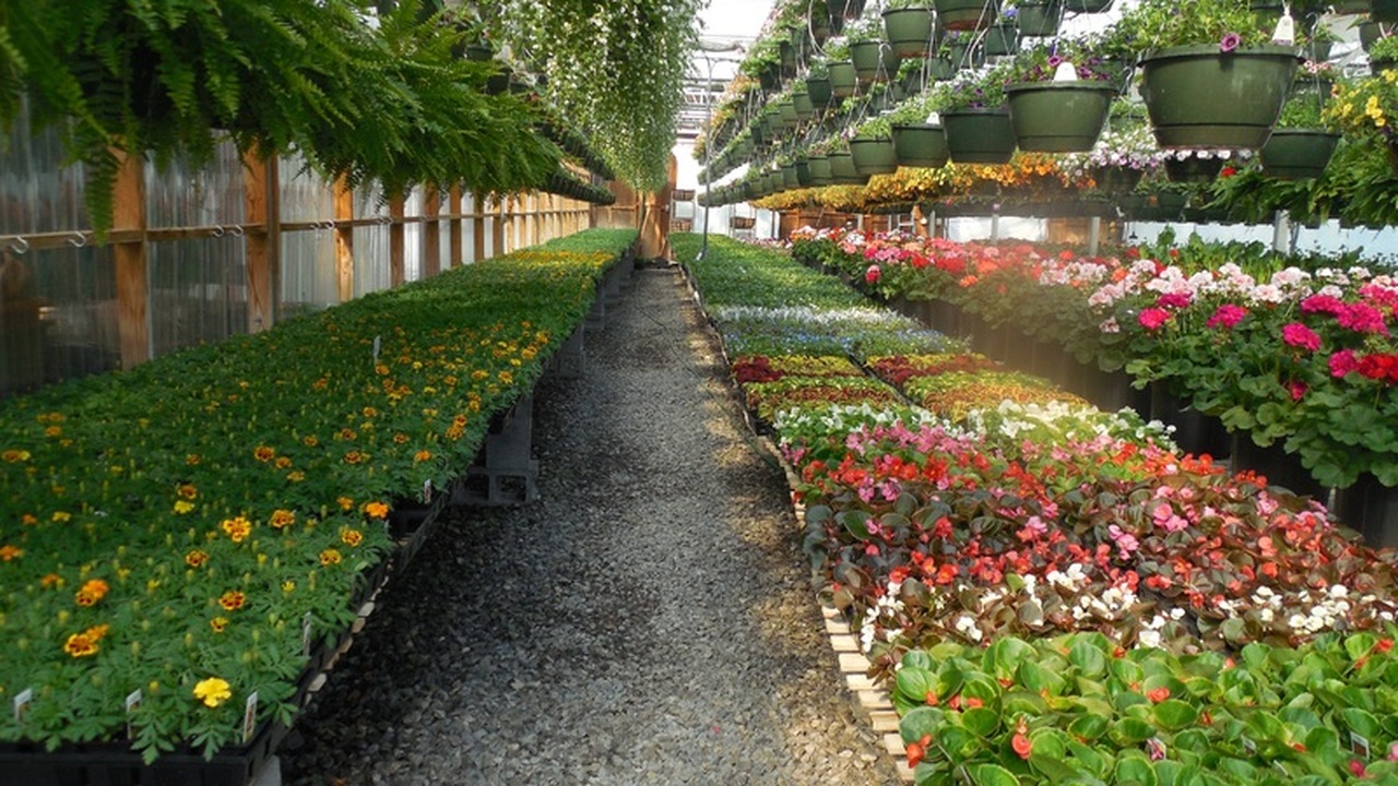 Аномально мягкие и снежные зимы всё чаще станов...