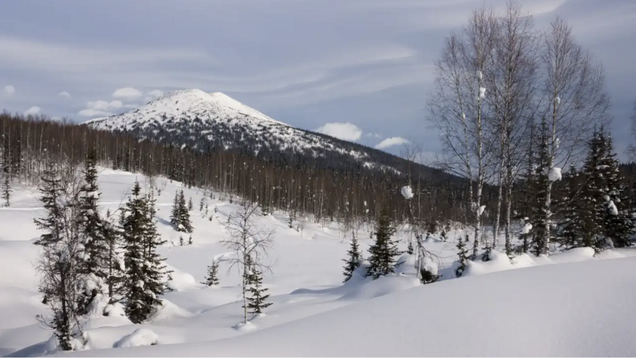В сибирской тайге обнаружен участок, где звуки ...