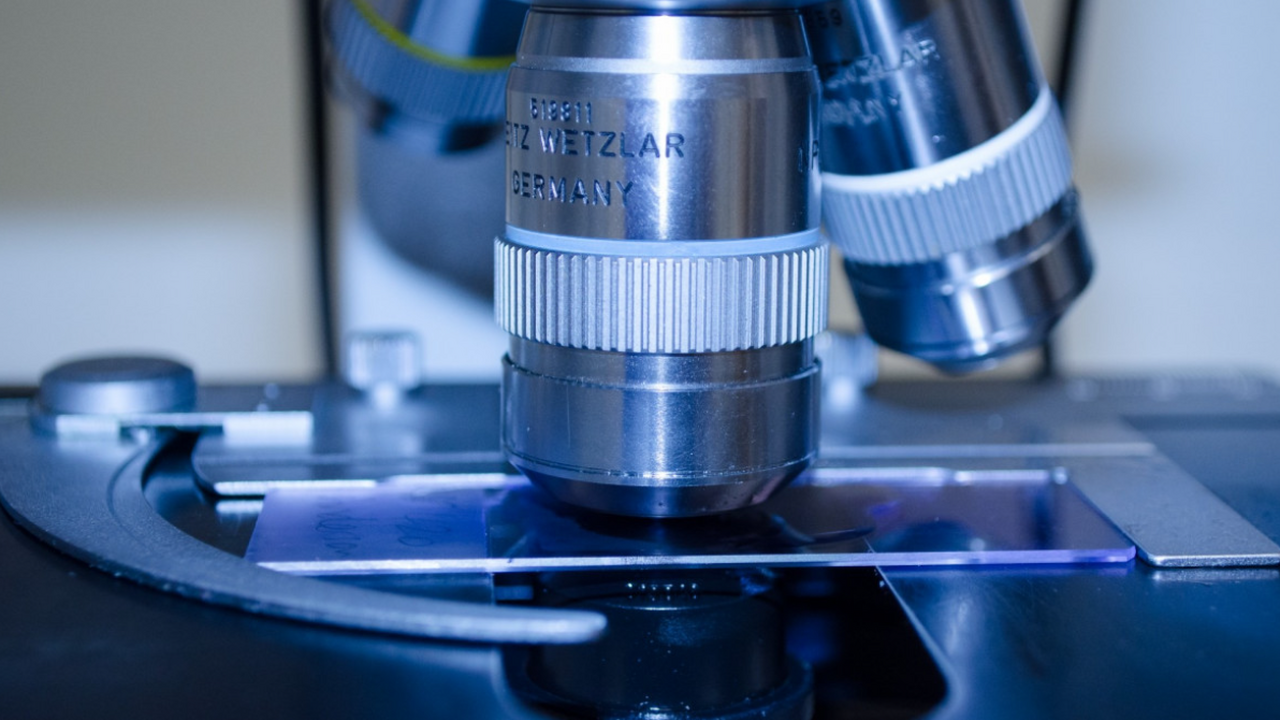 Учёные Федерального исследовательского центра «...