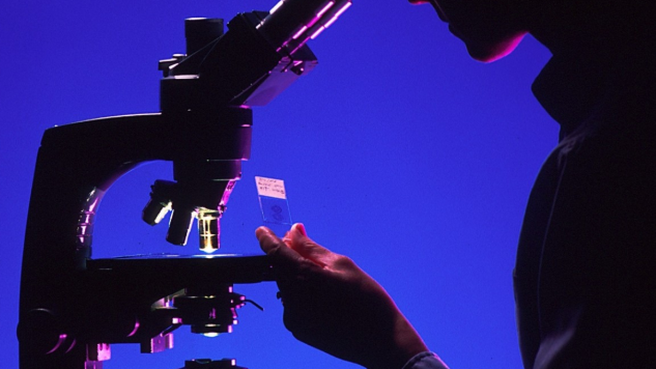 Учёные Национальной лаборатории Лос-Аламоса (LA...