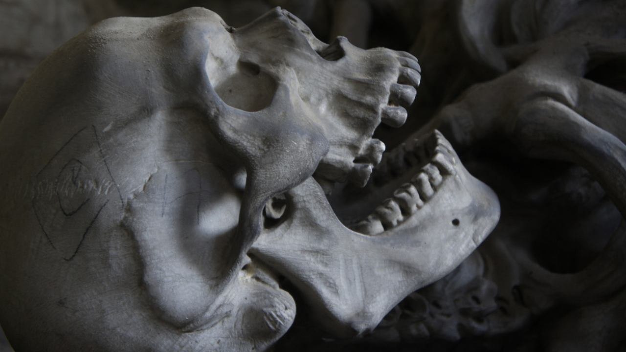 Ученые раскрыли тайну: в Будапеште нашли останки князя из династии Рюриковичей Венгерские археологи совместно с международной ...