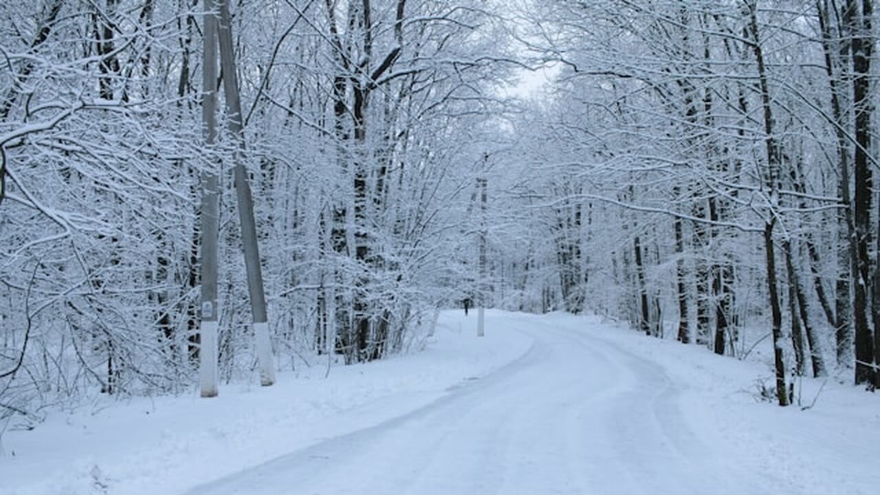 Синоптики предупредили о похолодании во второй половине марта Во второй половине марта в центральных регионах...
