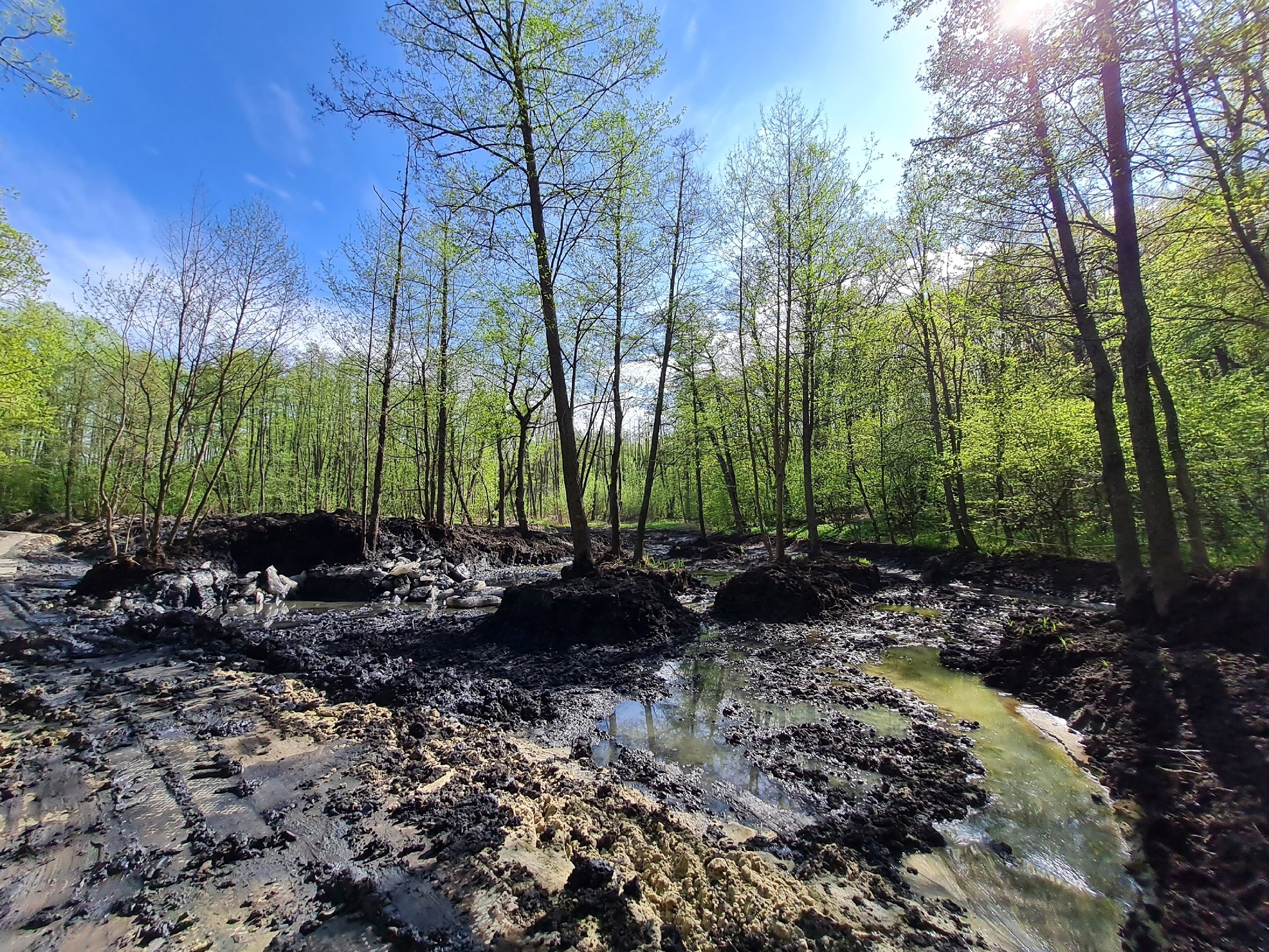 парк винновская роща ульяновск