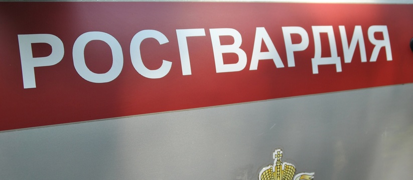 Попал в ДТП и хотел устроить драку:  сотрудники Росгвардии задержали пьяного дебошира в Ульяновске 