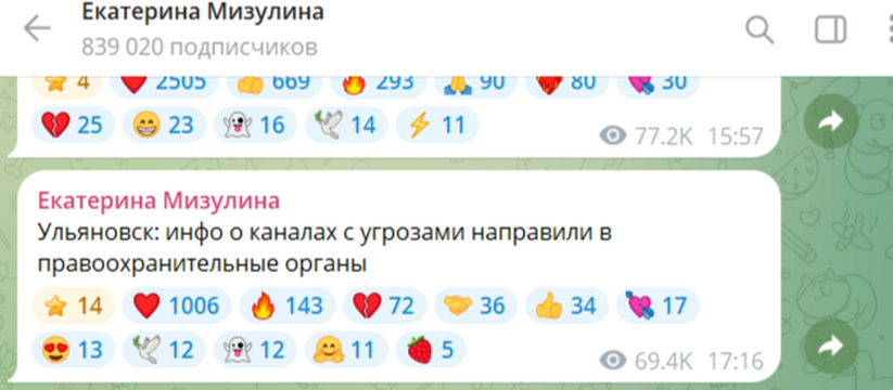 Мизулина направила заявление в правоохранительные органы из-за угроз в тг-каналах Ульяновска  Екатерина Мизулина, возглавляющая Лигу безопасн...