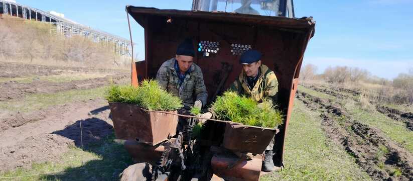 На особо охраняемой природной территории "Свияж...