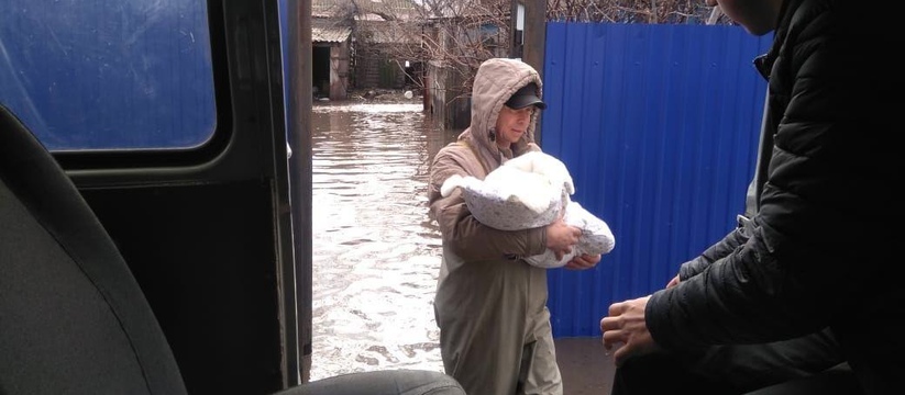 В районном центре Радищево Ульяновской области,...