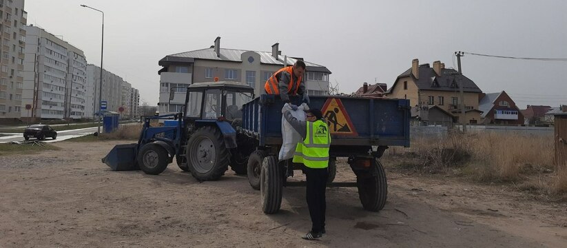 Собирали мусор, белили бордюр и деревья: в Ульяновске подвели итоги проведенного субботника