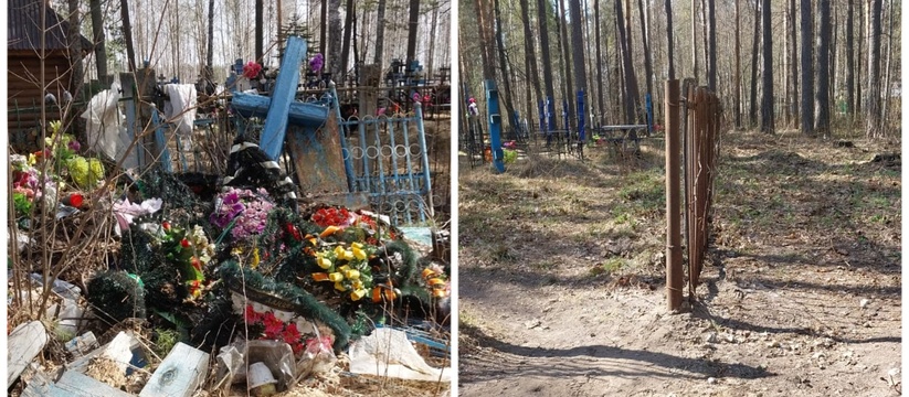 "Вывезли около 1 куб.м. отходов": в Ульяновской области расчистили территорию кладбища