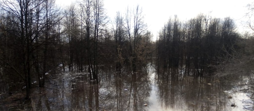 Достигнет пиковых значений: стало известно, когда в Ульяновске ждать наиболее сильный паводок