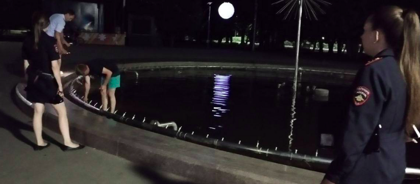 Пятиклассники в Ульяновске сломали отремонтированный фонтан в парке «Семья»