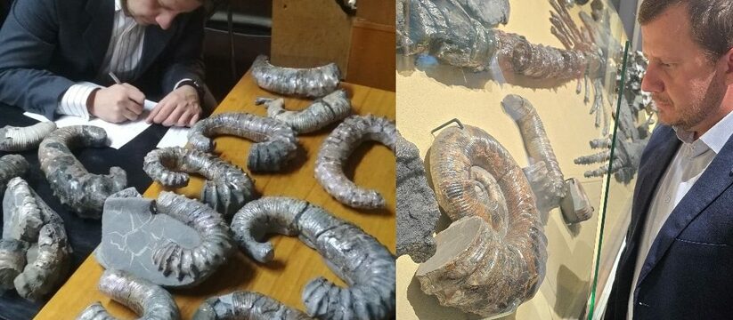 Уникальные находки из Ульяновской области получ...