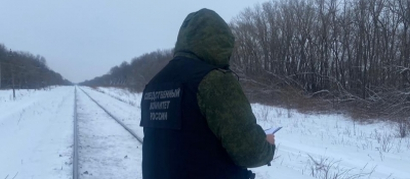 Получил смертельные травмы: в Ульяновске работник ЖД попал под поезд