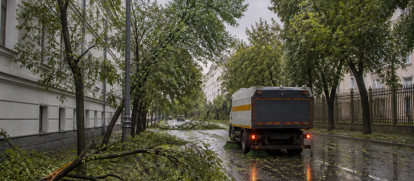 Ульяновск устраняет последствия шторма: убраны ...