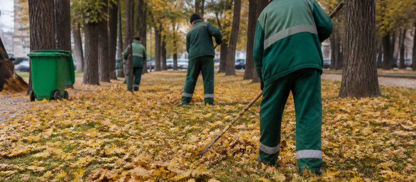 В Ульяновске утвержден график осеннего благоуст...