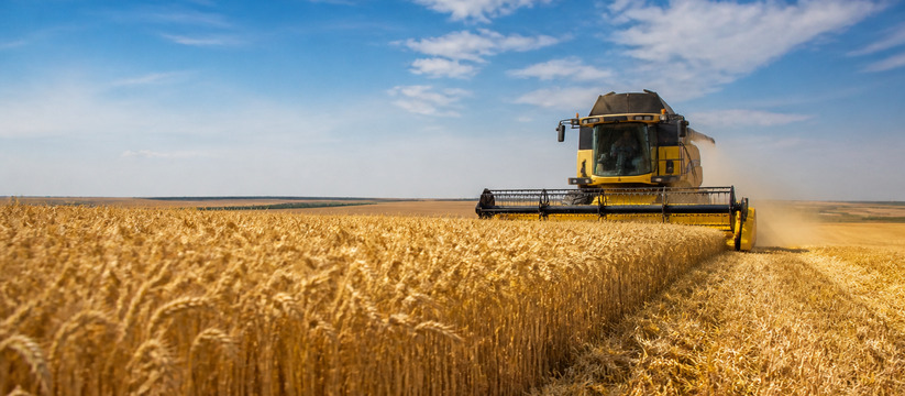 Ульяновские аграрии намолотили более 1,7 млн то...