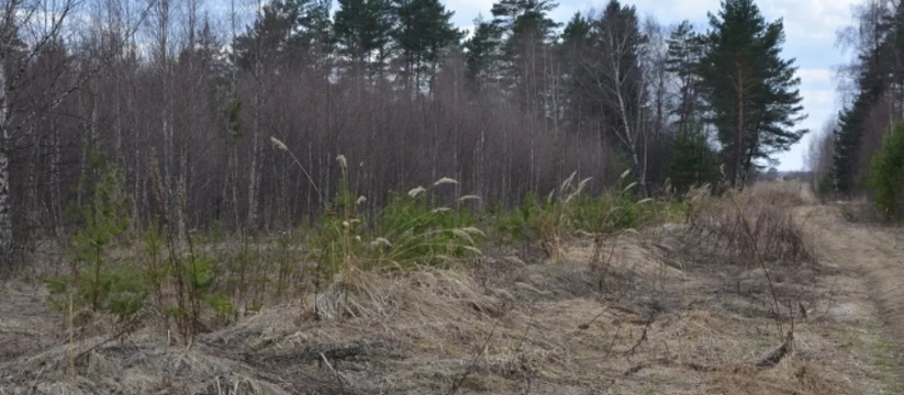 Ульяновская область столкнулась с масштабной пр...