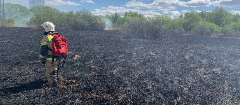 В Засвияжском районе Ульяновске сегодня произошел пожар. Как сообщили в администрации района, загорелось поле у Черного озеро.