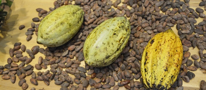 С начала 2025 года в Ульяновскую область поступ...