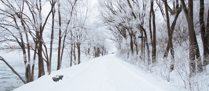 С 24 по 26 января в Ульяновской области прогноз...