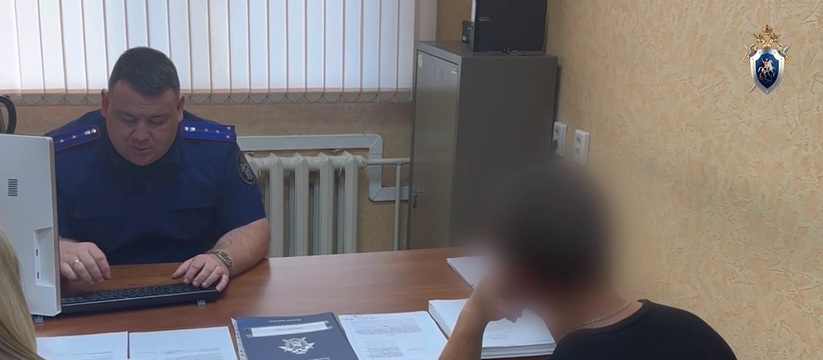 Житель Ульяновской области приговорён к 8 годам...