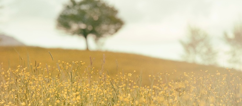 В Ульяновской области завершается подготовка к ...