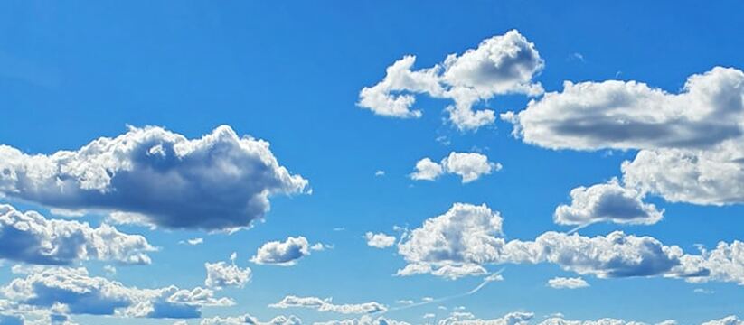 В сети распространяется недостоверная информаци...