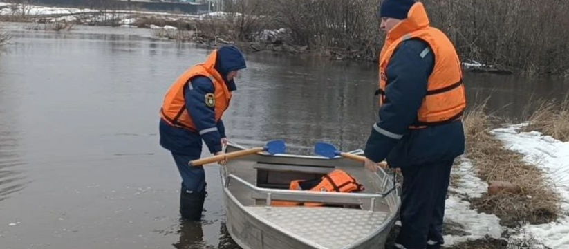 В Ульяновской области начали поступать первые с...