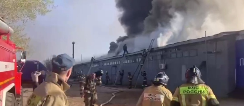 Огонь охватил 1000 квадратов: в Ульяновске произошел пожар на мебельной фабрике
