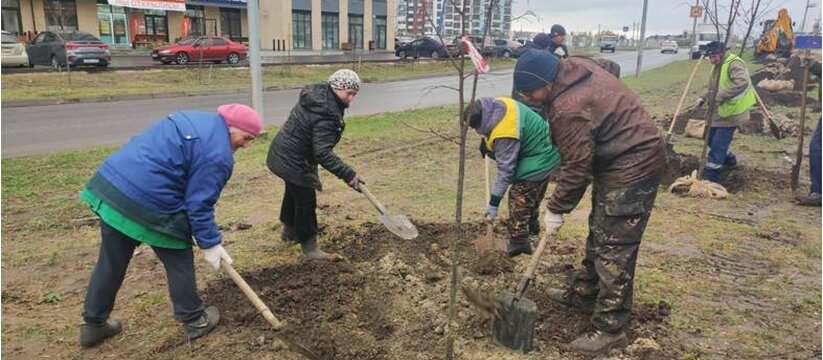 В Ульяновске планируется масштабное озеленение ...