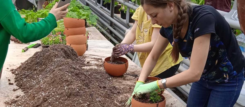 В Ульяновске между Городским центром, агробиост...