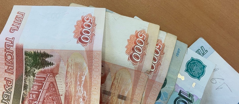 Нарушения на сумму в 195 миллионов: подведены итоги работы Счетной палаты Ульяновска