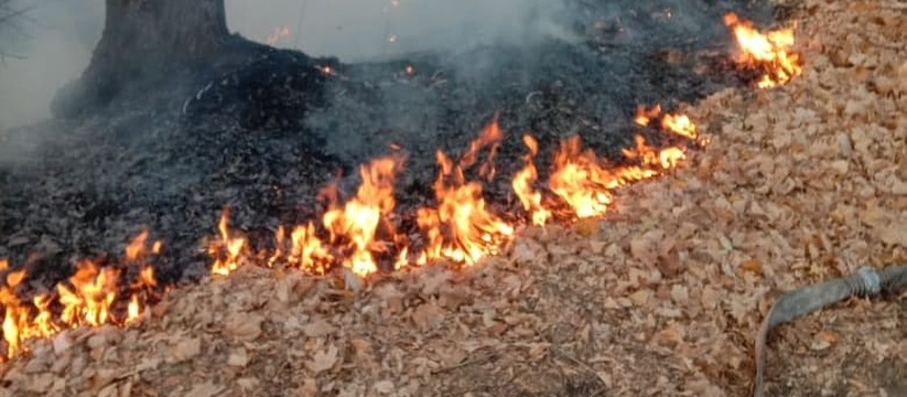 Будут ловить поджигателей травы: в Ульяновске борются с пожарами
