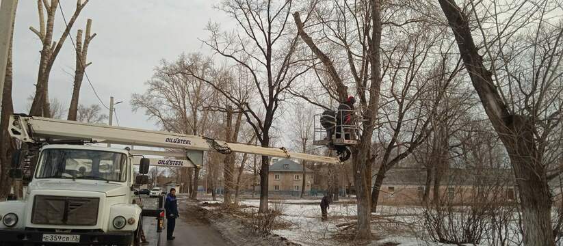 Представляли угрозу: в Ульяновске снесли десятки опасных деревьев