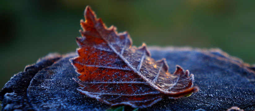 В Ульяновской области ожидается значительное по...