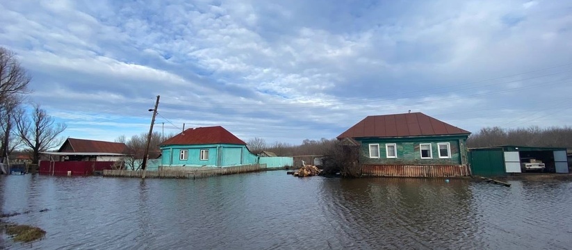 Пострадало больше всех: в Ульяновской области начали подсчитывать ущерб от паводка