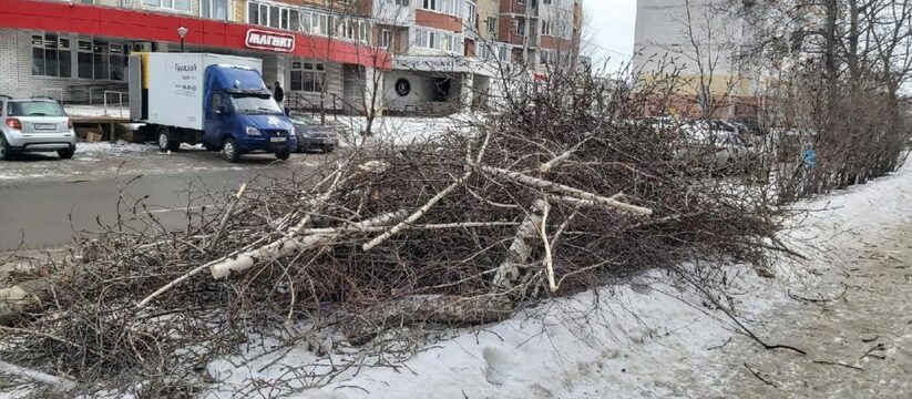 "Чем они помешали?": горожане возмущены, что в Ульяновске на Отрадной улице вырубили деревья 