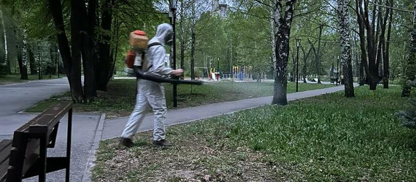 Обработку проведут в ближайшее время: в парках и скверах Ульяновска борются с клещами