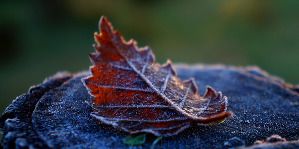 В Ульяновской области ночью мороз усилится до -...
