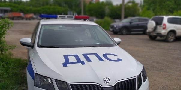 У жителя Ульяновской области конфисковали рарит...