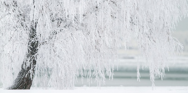 В Ульяновской области объявлен «желтый» уровень...